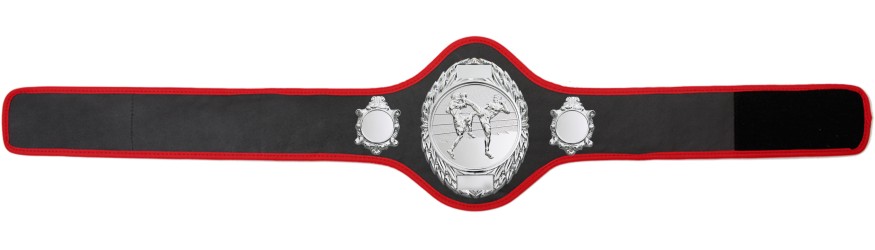 THAI BOXING CHAMPIONSHIP BELT-PRO286/S/TBOS-10+ COLOURS